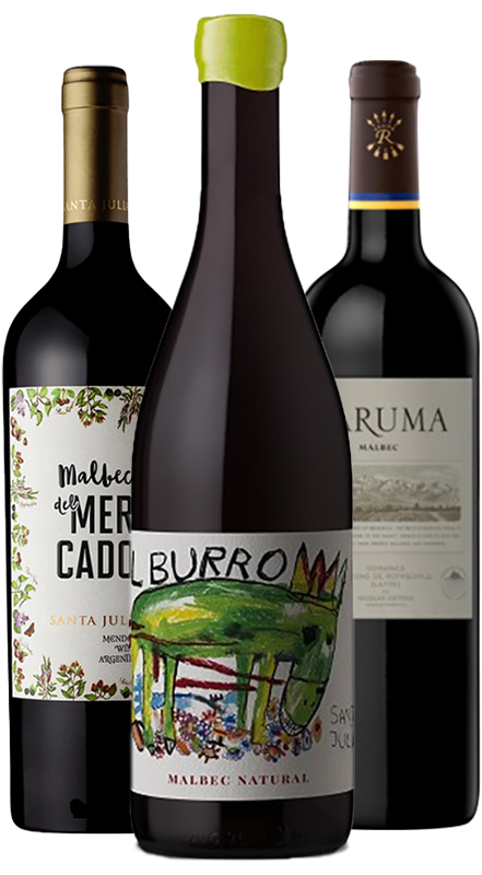 חבילת מלבק- זן הדגל של ארגנטינה